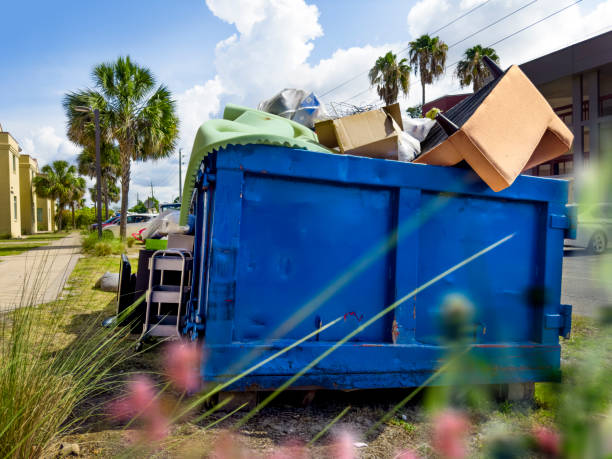 Best Demolition Debris Removal  in Johnsburg, IL